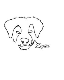 Imagen de Zigüa