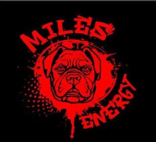 Imagen de MILES ENERGY