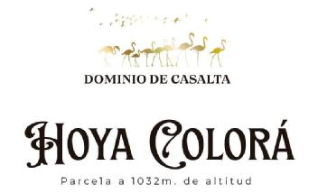 Imagen de DOMINIO DE CASALTA HOYA COLORÁ Parcela a 1032 m. de altitud