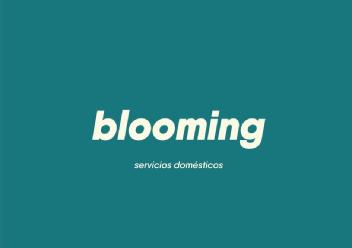 Imagen de BLOOMING servicios domésticos