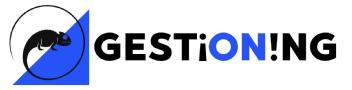 Imagen de GESTIONING