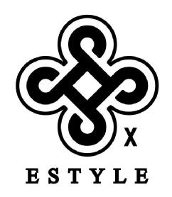 Imagen de ESTYLE X