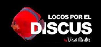 Imagen de Locos por el Discus