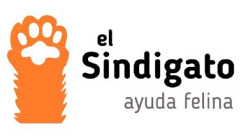 Imagen de El Sindigato Ayuda Felina
