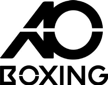 Imagen de AO BOXING