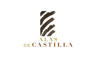 Imagen de ALAS DE CASTILLA