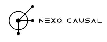 Imagen de NEXO CAUSAL