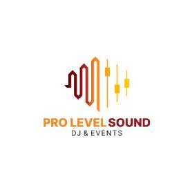 Imagen de PRO LEVEL SOUND DJ & EVENTS