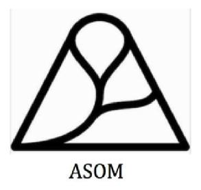 Imagen de ASOM!
