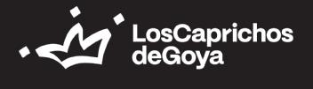 Imagen de LOS CAPRICHOS DE GOYA