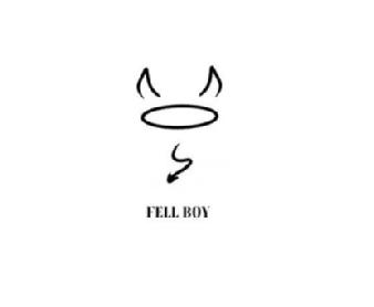 Imagen de Fell Boy