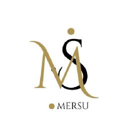 Imagen de MS MERSU