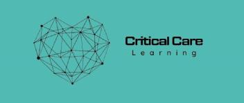 Imagen de Critical Care Learning