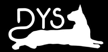 Imagen de Un gato tumbado con las siglas DYS (Design Your Style)