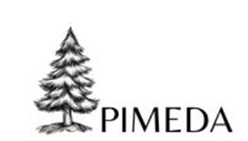 Imagen de PIMEDA