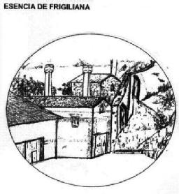 Imagen de ESENCIA DE FRIGILIANA