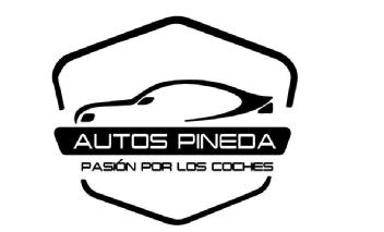 Imagen de AUTOS PINEDA