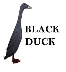 Imagen de BLACK DUCK