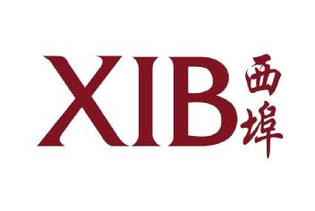 Imagen de XIB