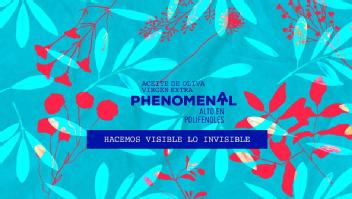 Imagen de ACEITE DE OLIVA VIRGEN EXTRA PHENOMENAL ALTO EN POLIFENOLES HACEMOS VISIBLE LO INVISIBLE