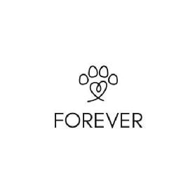 Imagen de Forever