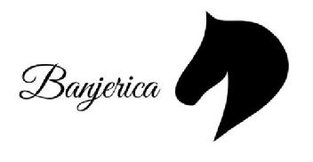 Imagen de BANJERICA