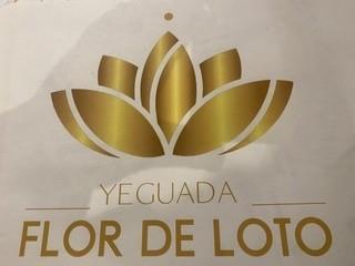Imagen de YEGUADA FLOR DE LOTO