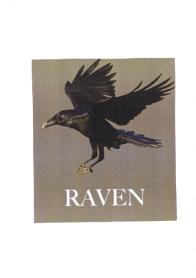 Imagen de RAVEN
