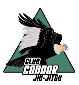 Imagen de Club condor jiu-jitsu