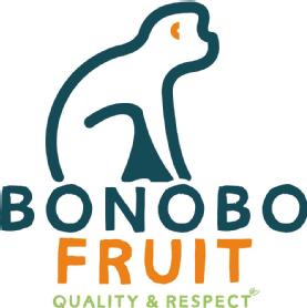 Imagen de BONOBO FRUIT QUALITY & RESPECT