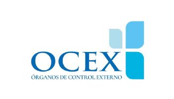 Imagen de OCEX ÓRGANOS DE CONTROL EXTERNO