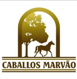 Imagen de CABALLOS MARVAO