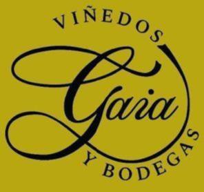 Imagen de VIÑEDOS Y BODEGAS GAIA