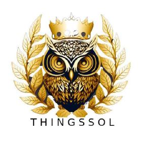 Imagen de THINGSSOL