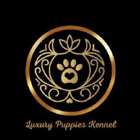 Imagen de LUXURY PUPPIES KENNEL