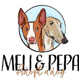 Imagen de MELI & PEPA Adopta dog