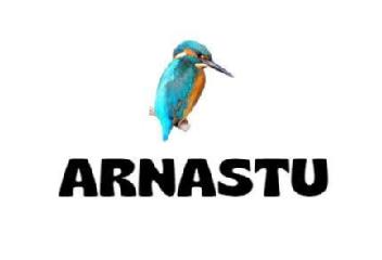 Imagen de ARNASTU