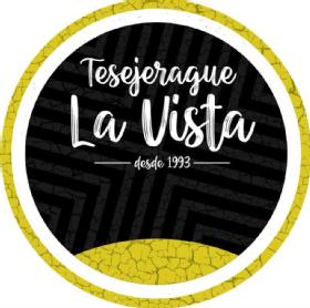 Imagen de TESEJERAGUE LA VISTA DESDE 1993