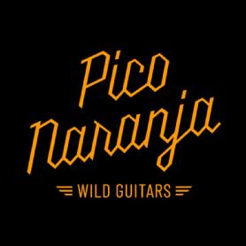 Imagen de Pico Naranja Wild Guitars