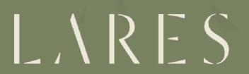 Imagen de LARES