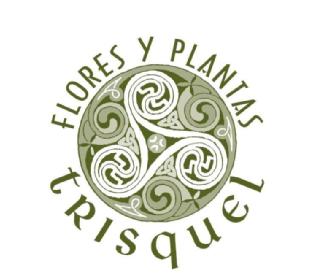 Imagen de FLORES Y PLANTAS TRISQUEL