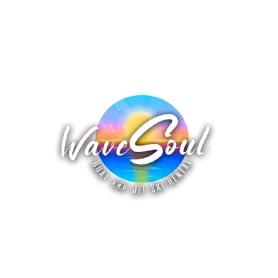 Imagen de WAVE SOUL BOAT AND JET SKI RENTAL