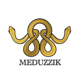 Imagen de Meduzzik