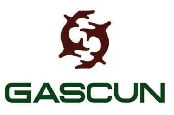 Imagen de GASCUN