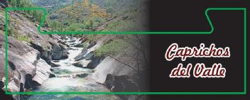 Imagen de CAPRICHOS DEL VALLE