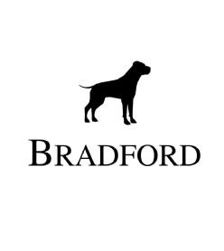 Imagen de Isotipo de perro gran danés. Tipografía elegante y serifs