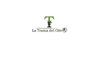 Imagen de T LA TRAMA DEL OLIVO