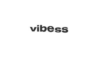 Imagen de VIBESS