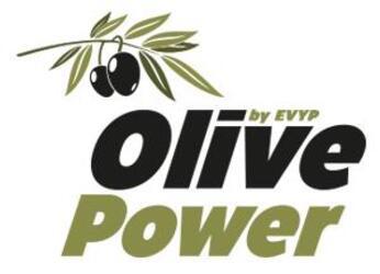 Imagen de OLIVE POWER BY EVYP
