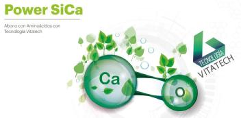 Imagen de POWER SICA ABONO CON AMINOÁCIDOS CON TECNOLOGÍA VITATECH CA TECNOLOGÍA VITATECH